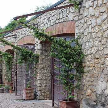 Solouva: la riscossa dei vini artigianali